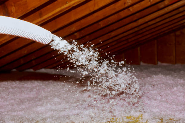 Best Insulation Removal  in Simpson, PA